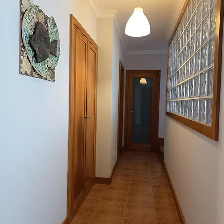 Nenufares * Torreira