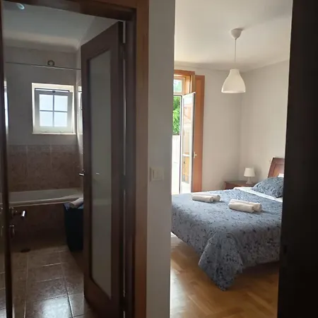 Nenufares * Torreira