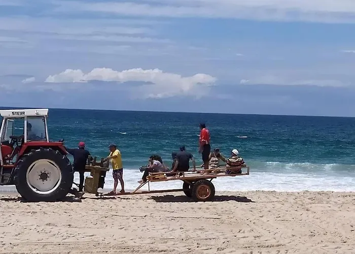 Nenufares * Torreira