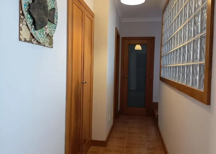 Nenufares * Torreira